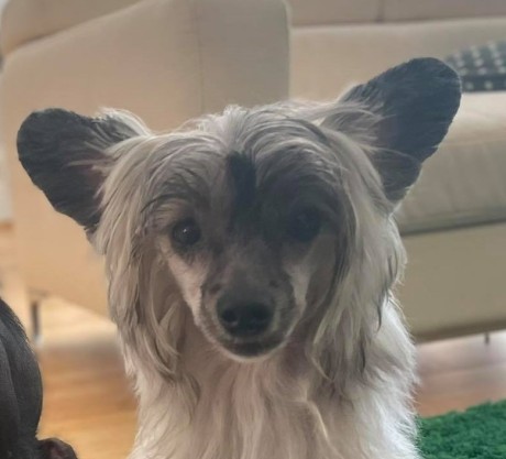 208770644_2240301986107630_5548448668014550631_n_u